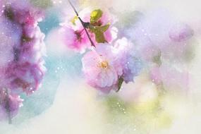 flowers pink art abstract nature