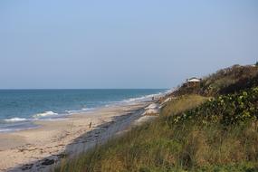 Beach Nature