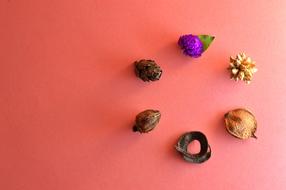 Potpourri Dry Dehydrated