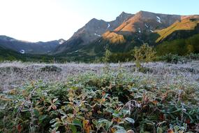 The First Frost Early Autumn