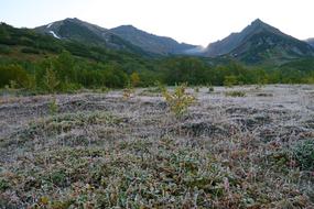 The First Frost Early Autumn