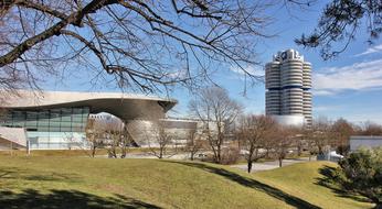 Tree Grass Architecture