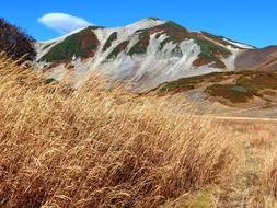 Mountains Late Autumn Bare Trees