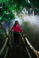 girl walks away on bridge through Jungle