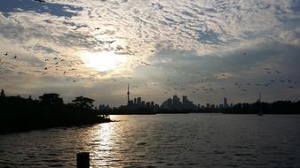 Sunset Toronto Tommy Tompson