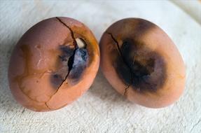 fried eggshells