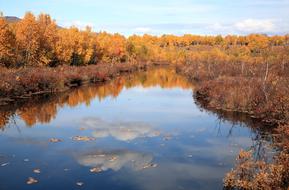 Autumn Forest Lake