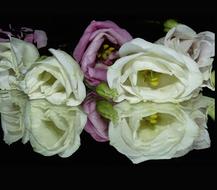 Flowers Nature Mirror