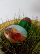 cute colored eggs