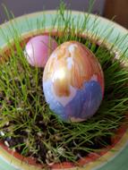 colored eggs in the grass