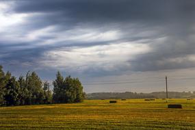 Agrofirm Field Panoramic