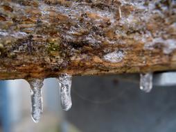 Icicle Ice Frozen