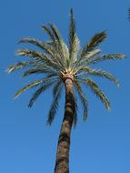 Palm Nature Vacations