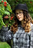 Autumn Rowan Nature Golden