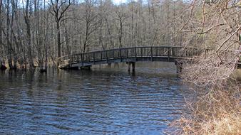 Waters Nature River Wooden