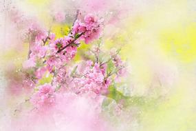 flowers pink art abstract nature