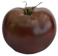 dark tomato on white background