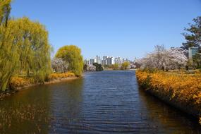 Wood Nature The Body Of Water