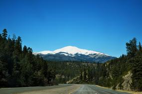 Mountain Nature Tree