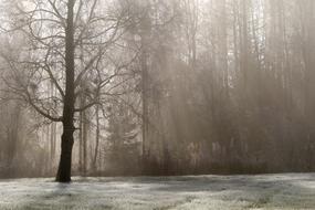 Landscape Autumn Fall