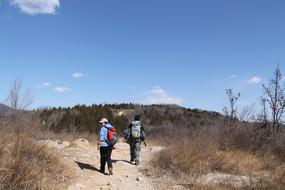 Outdoor Nature Landscape