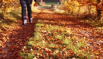 a man's feet in the fall