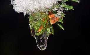 Drip Frozen Ice