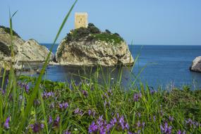 Nature Summer Body Of Water