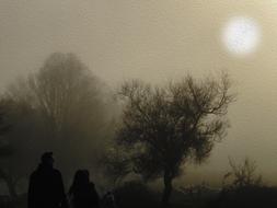 fog tree mist landscape dawn