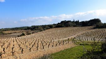 Agro-Industry France Aude