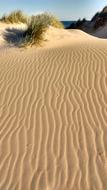 Desert Dune Sand Landscape