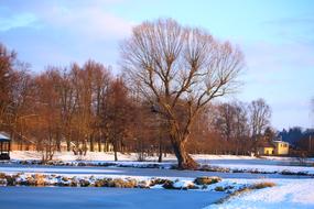 Frozen Pond Ice Winter Day