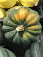 unripe fresh pumpkins