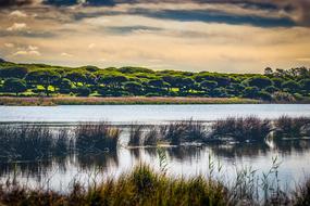 Water Panoramic River