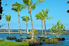 Palm Water Travel