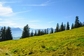 Mountain Meadow Hiking Switzerland