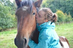 Girl in blue jacket, kisses the colorful horse, among the green field and colorful trees