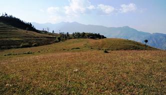 India Himalayan Grassland Meadow