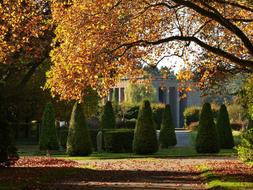 Fall Foliage Leaves Red