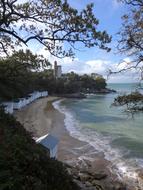 Body Of Water Nature Tree