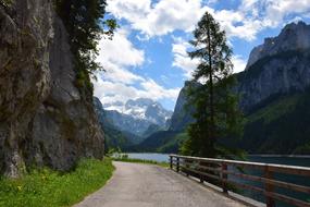 Nature Mountain Wood
