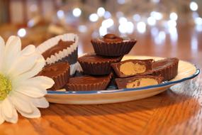 chocolate cupcakes on a plate