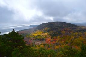 Mountain Trees Nature