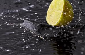 Lemon Freshness Fruit