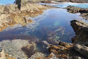 Tide Pool Ocean Water