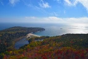 Mountain Trees Nature