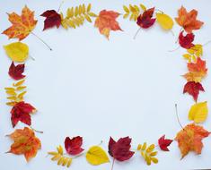 Autumn Fall Leaves Text