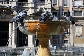 Italy Rome Fountain