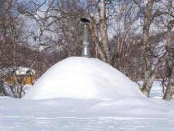 Winter Morning Leann Forest