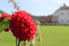 Augarten Vienna Park